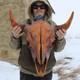 Buffalo Bison Head Skull Horns