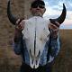 Buffalo Bison Head Skull Horns