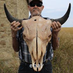 Buffalo Bison Head Skull Horns