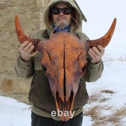 Buffalo Bison Head Skull Horns
