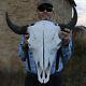 Buffalo Bison Head Skull Horns