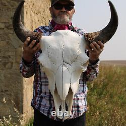 Buffalo Bison Head Skull Horns