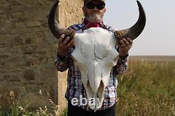 Buffalo Bison Head Skull Horns