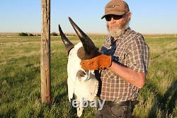 Buffalo Bison Head Skull Horns