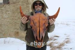 Buffalo Bison Head Skull Horns