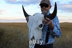 Buffalo Bison Head Skull Horns