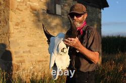 Buffalo Bison Head Skull Horns