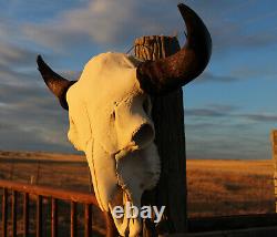 Buffalo Bison Head Skull Horns