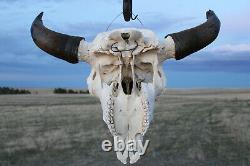 Buffalo Bison Head Skull Horns