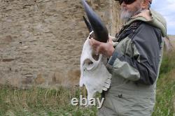 Buffalo Bison Head Skull Horns