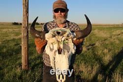 Buffalo Bison Head Skull Horns