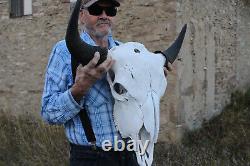 Buffalo Bison Head Skull Horns