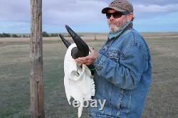 Buffalo Bison Head Skull Horns