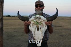 Buffalo Bison Head Skull Horns