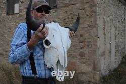 Buffalo Bison Head Skull Horns