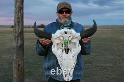 Buffalo Bison Head Skull Horns