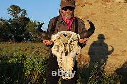 Buffalo Bison Head Skull Horns