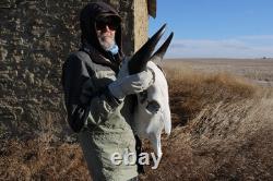 Buffalo Bison Head Skull Horns