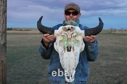 Buffalo Bison Head Skull Horns