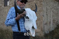 Buffalo Bison Head Skull Horns