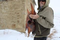 Buffalo Bison Head Skull Horns