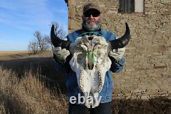 Buffalo Bison Head Skull Horns