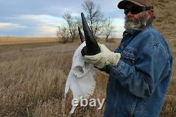 Buffalo Bison Head Skull Horns