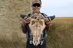 Buffalo Bison Head Skull Horns