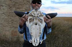 Buffalo Bison Head Skull Horns