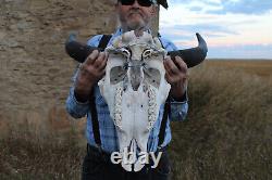 Buffalo Bison Head Skull Horns