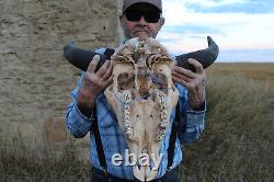 Buffalo Bison Head Skull Horns