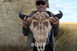 Buffalo Bison Head Skull Horns