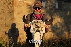 Buffalo Bison Head Skull Horns