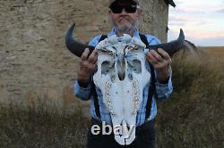 Buffalo Bison Head Skull Horns