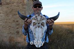 Buffalo Bison Head Skull Horns