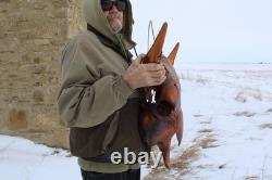 Buffalo Bison Head Skull Horns