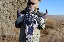 Buffalo Bison Head Skull Horns