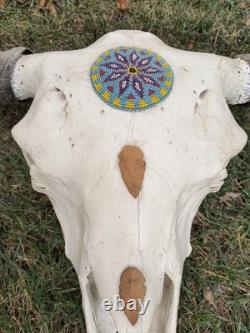Buffalo Bison Head Skull Horns MAKE OFFER