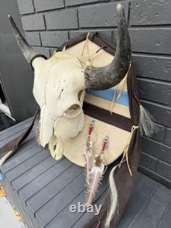 Buffalo Bison Head Skull Horns With Caps And Beautiful American Indian Mounting