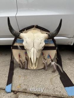 Buffalo Bison Head Skull Horns With Caps And Beautiful American Indian Mounting