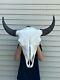 Buffalo Bison Head Skull Horns taxidermy deer elk moose powwow art craft