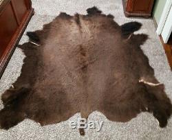 Buffalo, Bison Hide, Taxidermy Tanned Robe (75 x 75)