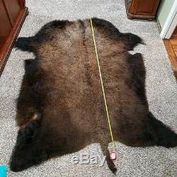 Buffalo, Bison Hide, Taxidermy Tanned Robe (80 x 63)