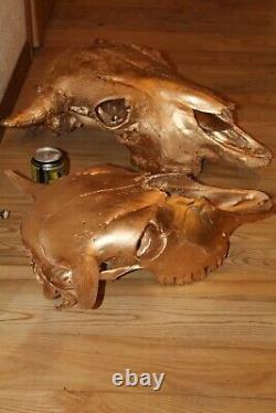 Buffalo Bison Skull European Mount Taxidermy Texas Skeleton Bone Western Decor