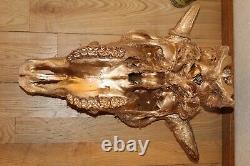 Buffalo Bison Skull European Mount Taxidermy Texas Skeleton Bone Western Decor