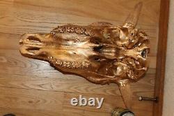 Buffalo Bison Skull European Mount Taxidermy Texas Skeleton Bone Western Decor