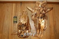 Buffalo Bison Skull European Mount Taxidermy Texas Skeleton Bone Western Decor