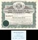 Buffalo Bisons Baseball Club Inc. 1956 dated Stock Certificate Sports Stoc
