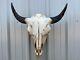 Buffalo Bull Skull 22 Inch Wide Horn American Bison Mounted Head Tatonka