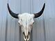 Buffalo Bull Skull 23 1/2 Inch Wide Horn American Bison Mounted Head Tatonka